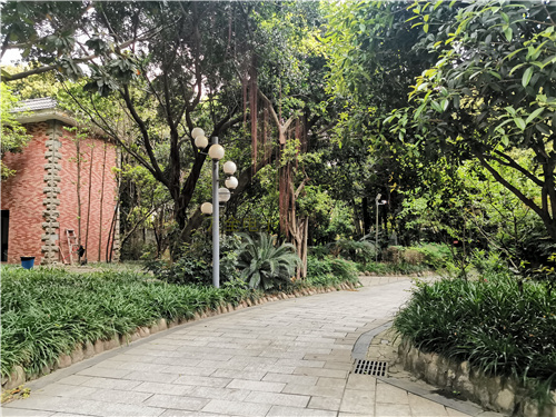 地下停車場、大型倉庫，如何解決大場景下的監(jiān)控需求