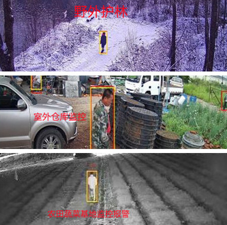 無電無網(wǎng)少人煙的野外，還想裝監(jiān)控系統(tǒng)？這不是空想