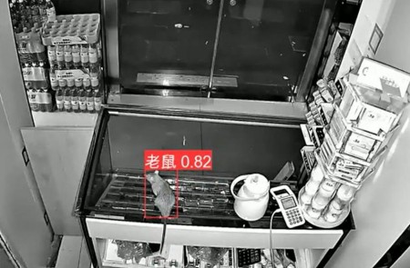AI智能監(jiān)控算法推出新算法，老鼠再也無(wú)處可逃