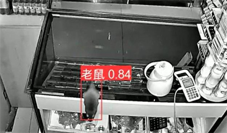 AI視頻監(jiān)控能拍到老鼠？老鼠監(jiān)控算法說(shuō)可以