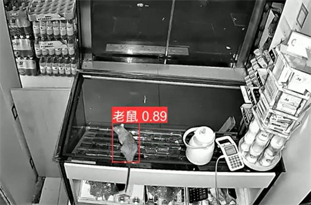 AI視頻監(jiān)控能拍到老鼠？老鼠監(jiān)控算法說可以