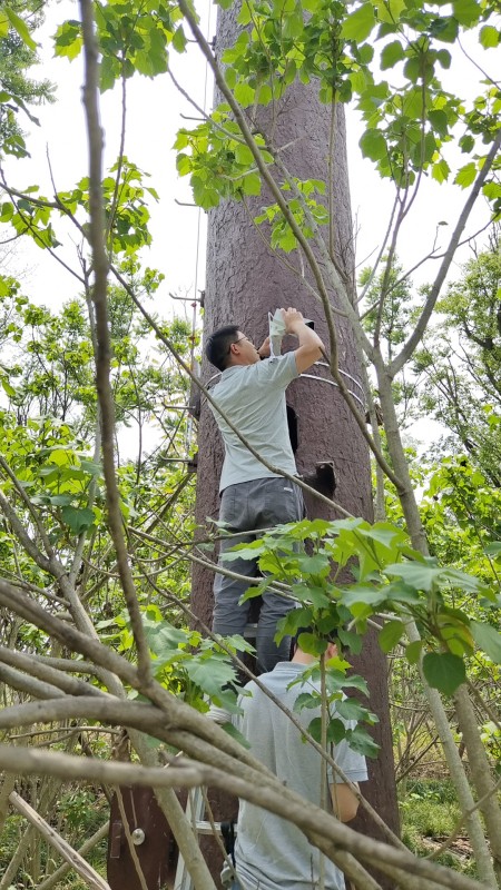 AI視頻監(jiān)控|基站監(jiān)控系統(tǒng)|戶外監(jiān)控安裝 AI視頻監(jiān)控|基站監(jiān)控系統(tǒng)|戶外監(jiān)控安裝