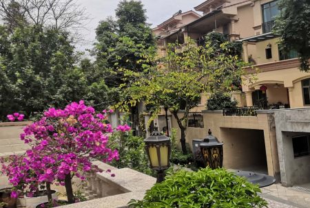 小區(qū)屢被“光顧”，居家安全小區(qū)安防請多加重視