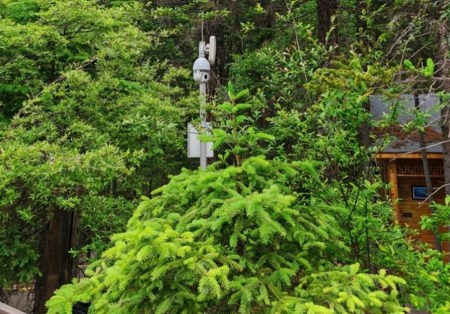 風景區(qū)內(nèi)AI視頻分析報警系統(tǒng)有用嗎