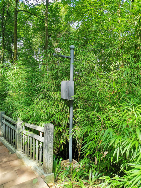 安防監(jiān)控系統(tǒng)工程中的AI智能算法，可實現(xiàn)包括：人形識別、火焰識別、車輛識別、行為識別等一系列的AI智能識別算法