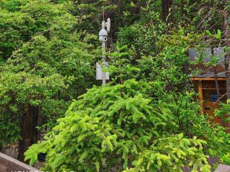 安防監(jiān)控系統(tǒng)工程中的AI智能算法，可實現(xiàn)包括：人形識別、火焰識別、車輛識別、行為識別等一系列的AI智能識別算法